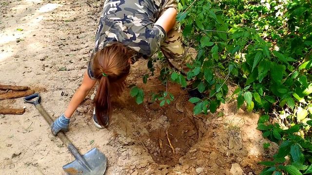 ЗАБРАЛИСЬ В ЛЕС ЗА МЕТАЛЛОМ И УГАДАЛИ. КОП МЕТАЛЛОЛОМА смотреть онлайн