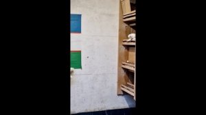 Голуби Юры из Германии, Узбекские Голуби / O'zbek kaptarlari