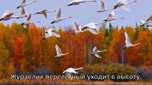 Спасибо тебе, Осень! (Караоке, минус).