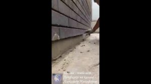 Лайфхак. Гидроизоляция отмостки