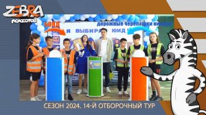 Полосатая зебра. Сезон 2024. 14-й отборочный тур.