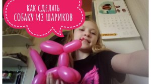 МК туториал: собака из шариков, как сделать