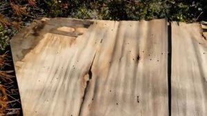 Первый отстрел с мр 155