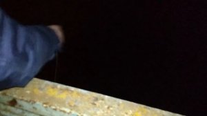 Вытащили много МЕДИ на Поисковый магнит... 😳