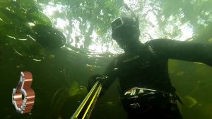 ПОДВОДНАЯ ОХОТА В КОРЯЖНИКЕ на малых реках с арбалетом