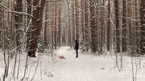 Лаврик. Зимний день. Вдоволь накупаться в снегу