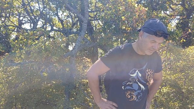 Философская беседа по дороге на Храм Солнца