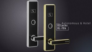 Краткий обзор дверного электронного замка OZLocks HL-F04