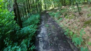 Ендуро по лесу и болотам  Hard Enduro екстрім