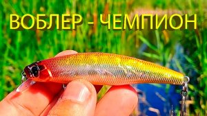 🔥 Поставил УБОЙНЫЙ ВОБЛЕР и тут началось! Десять щук на зорьке, а у соседей нули. Рыбалка мечты! 🔥