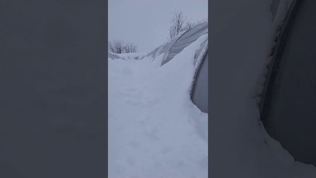 #трусим балаганы#простозима смотреть онлайн