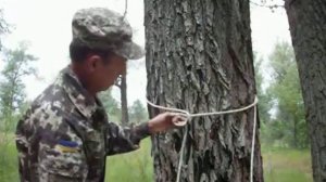 Узел Буковинський Самосброс