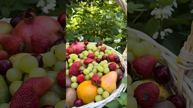 Фруктовая корзина для врача «Ассорти» / Подарочный набор из фруктов учителю #fruitbasket #fruitgift