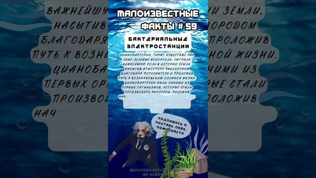Бактериальные электростанции |Малоизвестныефакты|2сезон| #59