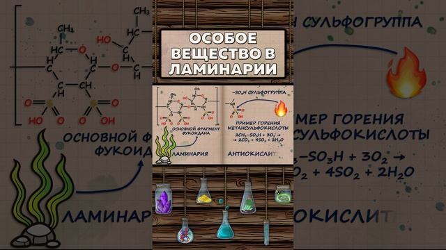 Особое вещество в ламинарии