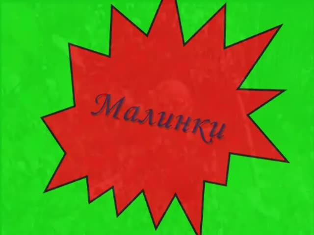 Малинки Наши дети в далёком 2007 году