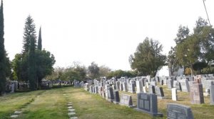 Opera Singer Arnold Gabor Grave Hollywood Forever Cemetery Los Angeles California US January 2, 202