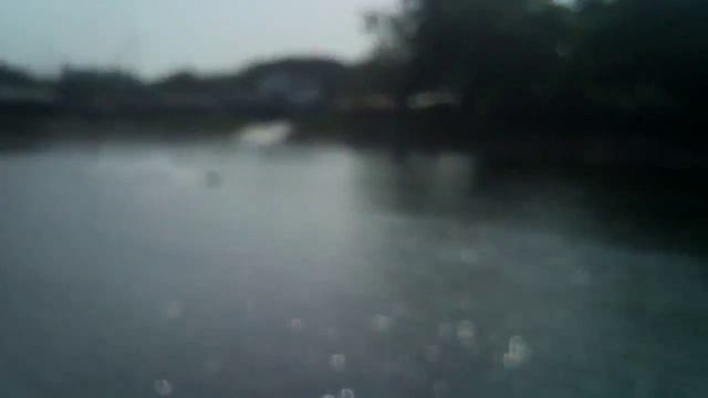 CAT. Kim. Hua hin. 107cm 6s смотреть онлайн