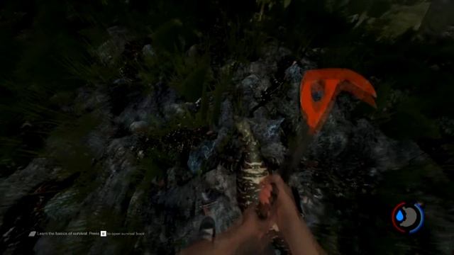 The Forest