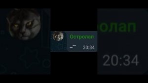 Коты воители СУМРАЧНЫЙ ЛЕС если пользовался ватцапом 1часть