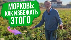 Почему морковь зацвела раньше времени? Простое решение!