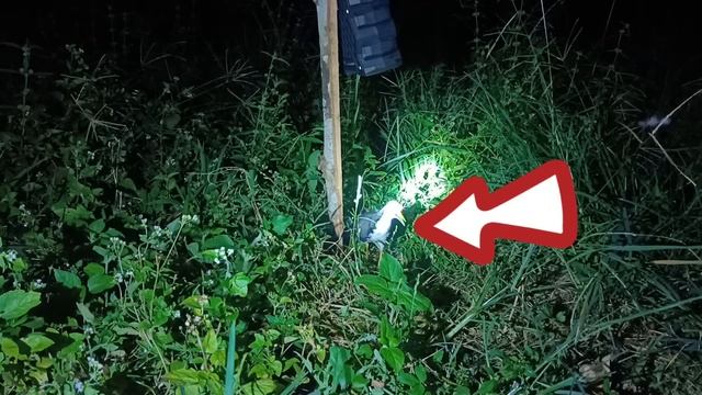 Pag huli ng ibon gamit ang Speaker? Ang galing nito mga Ka Agri смотреть онлайн