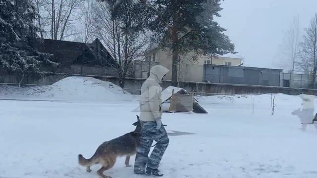 Занятия при отвлечении.