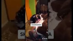 ХИЁНАТ УСТИДА КУЛГА ТУШДИ