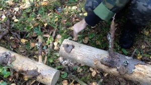 Пила Fiskars SW73 первые впечатления.