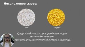 🍺 Основные элементы пива