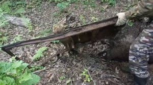 МЕТАЛОКОП! НЕБОЛЬШОЙ ВЕЧЕРНИЙ КОП МЕТАЛЛА В ЛЕСУ