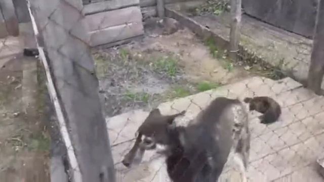 Обзор нашего двора! смотреть онлайн