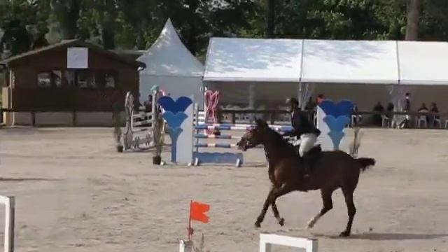 Marie Noelle BANNI, CSO préparatoire 1,05 Rosières aux salines le 22 04 2011 смотреть онлайн