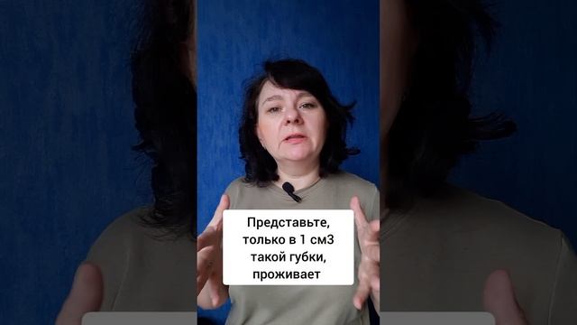 Многоквартирный дом для бактерий на кухне. ГДЕ?!