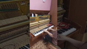 "Ростов-Дон" пианино, после настройки.
