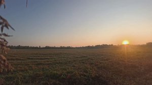 Утренний вайб