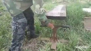 Защита ульев от муравьёв