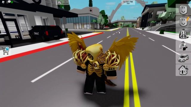 EN ZENGİN SEN OL !!! DOMINUS KIYAFET KODLARI 🏡 NiKO ile Roblox Brookhaven смотреть онлайн