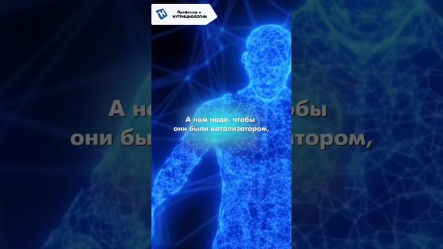Профессор о нутрициологии. Наталья Толоконская - профессор, доктор медицинских наук