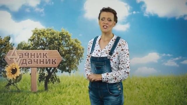 ДАЧНИК УДАЧНИК 14.07.17