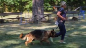 Вольфенкрафт Дара. Проверка поведения. 10.07.21