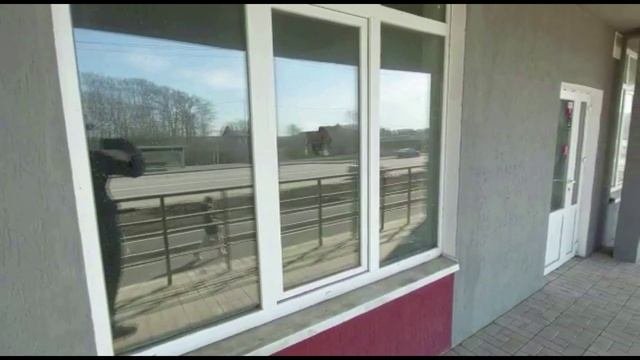 Назара Наджми, 15
