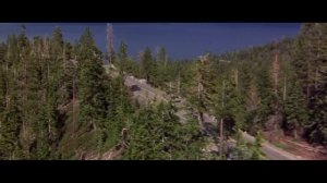 Операция пластилин "Дом на дереве"