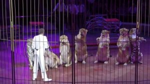 Империя львиц