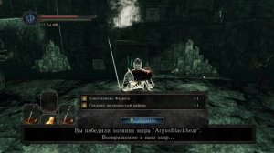 Двери Фарроса | Командир крысиной гвардии (Dark Souls 2 #17)
