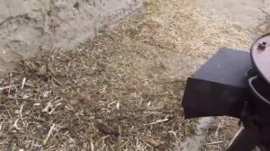 Универсальная дробилка на 220 Вольт