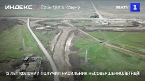 13 лет колонии получил насильник несовершеннолетней