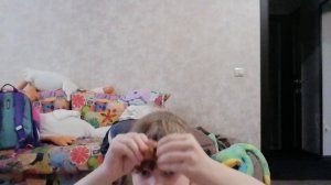 VID_20241003_144924.mp4