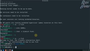 Сравнение SHELLs: BASH vs ZSH vs FISH  Делаем красочный и удобный терминал.