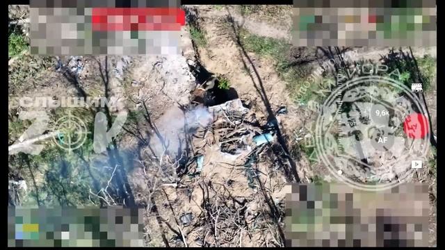 Запорожский фронт. Ореховское направление